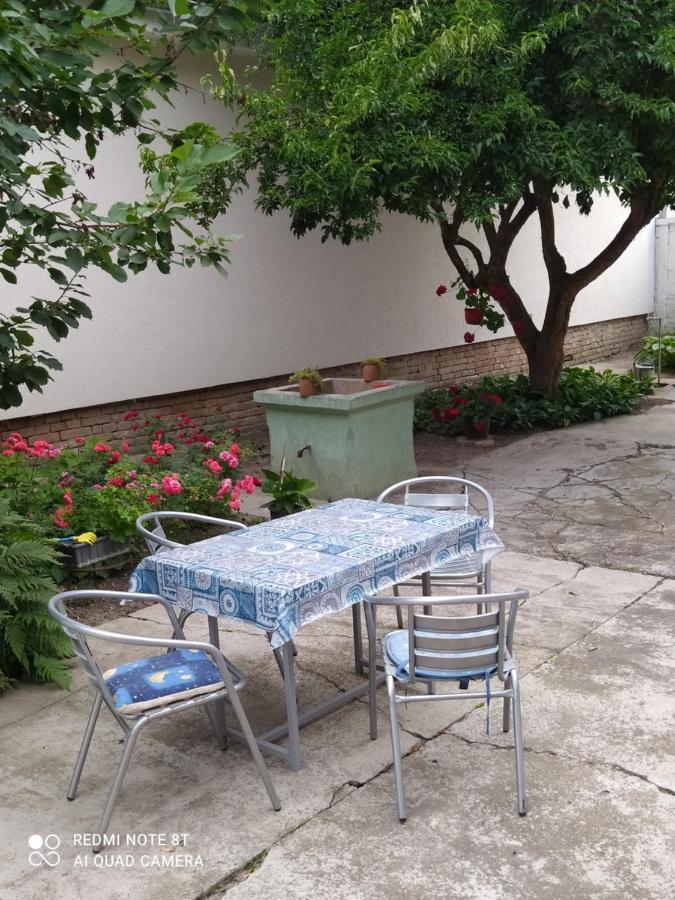 Vila Oaza Mira Porodicna Kuca Za Opustanje Apatin Exteriér fotografie