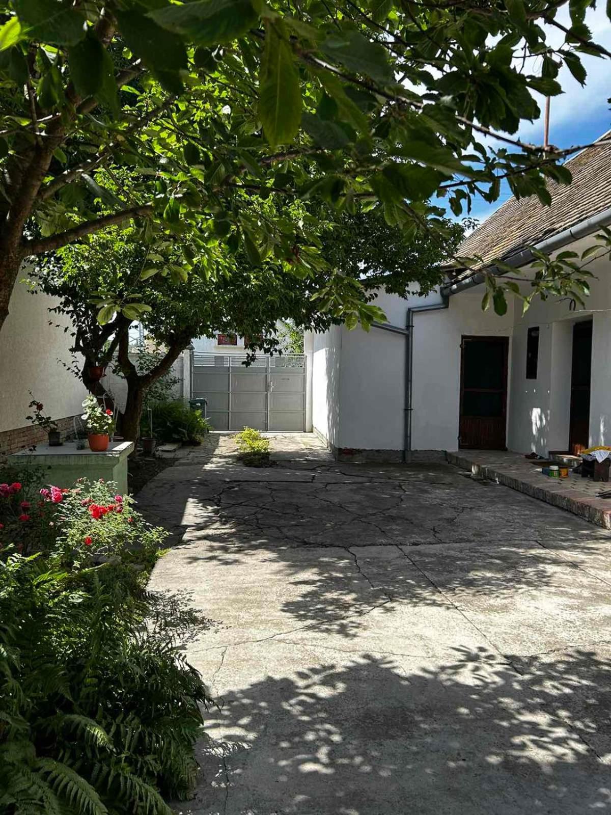 Vila Oaza Mira Porodicna Kuca Za Opustanje Apatin Exteriér fotografie