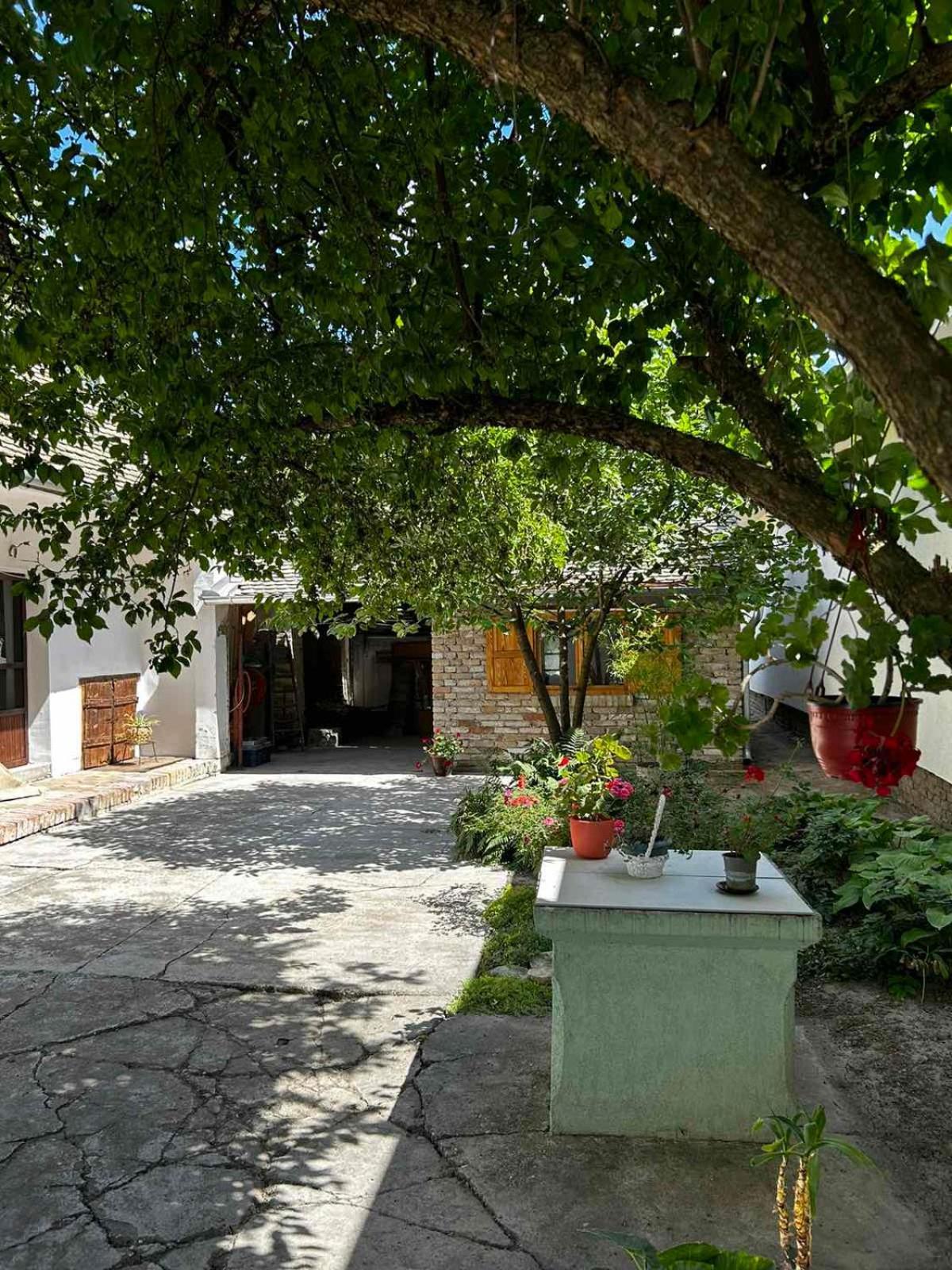 Vila Oaza Mira Porodicna Kuca Za Opustanje Apatin Exteriér fotografie